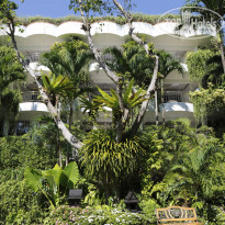 фото из отзыва ID 655900