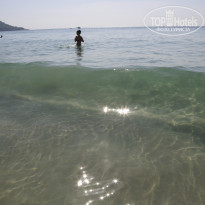 фото из отзыва ID 655900