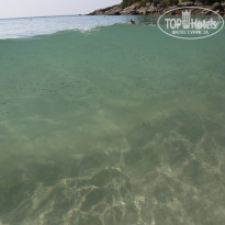 фото из отзыва ID 655900