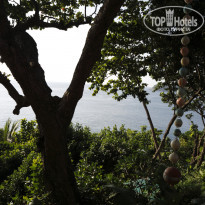 фото из отзыва ID 655900