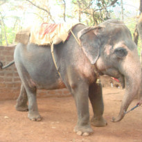 фото из отзыва ID 655921