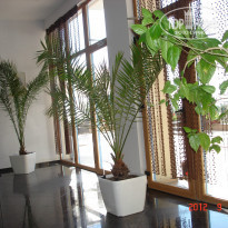 фото из отзыва ID 656737