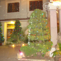 фото из отзыва ID 656101