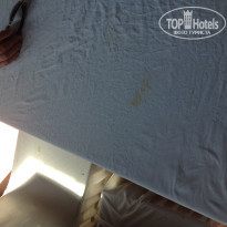 фото из отзыва ID 656715