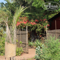 фото из отзыва ID 656899