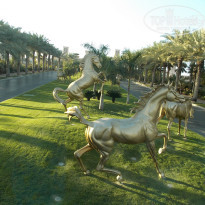 фото из отзыва ID 656996