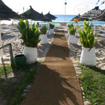 фото из отзыва ID 657025