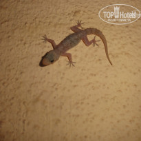 фото из отзыва ID 657027