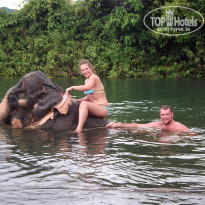 фото из отзыва ID 657029