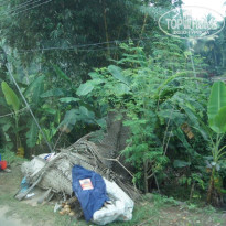 фото из отзыва ID 657028