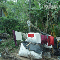 фото из отзыва ID 657028