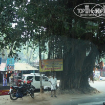 фото из отзыва ID 657028