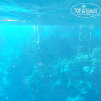 фото из отзыва ID 657627