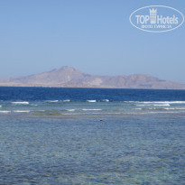 фото из отзыва ID 657627