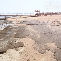 фото из отзыва ID 657627