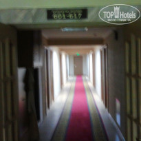 фото из отзыва ID 657635