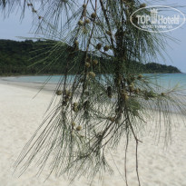 фото из отзыва ID 657658