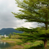 фото из отзыва ID 657665