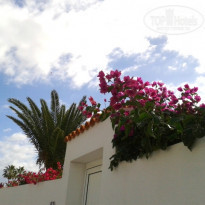 фото из отзыва ID 657756