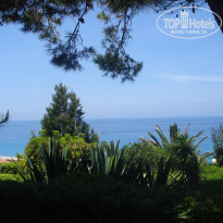 фото из отзыва ID 657853