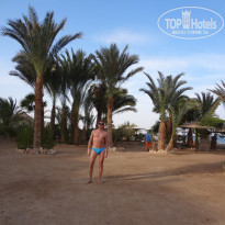 фото из отзыва ID 657973