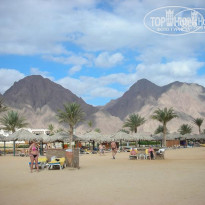 фото из отзыва ID 65862