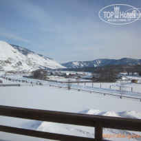 фото из отзыва ID 658030