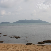 фото из отзыва ID 658055