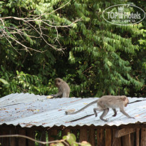 фото из отзыва ID 658055