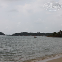 фото из отзыва ID 658055