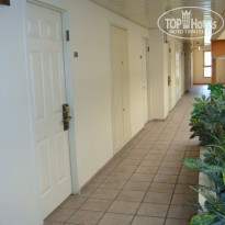 фото из отзыва ID 658135