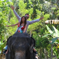 фото из отзыва ID 658276