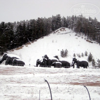 фото из отзыва ID 658640