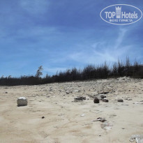 фото из отзыва ID 658664