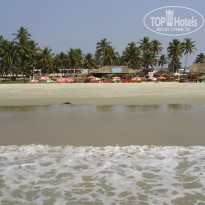 фото из отзыва ID 658723