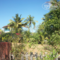 фото из отзыва ID 658811