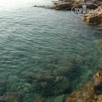 фото из отзыва ID 658826