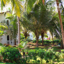 фото из отзыва ID 658925