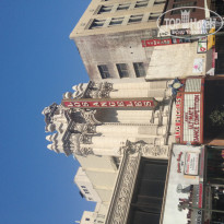 фото из отзыва ID 658952