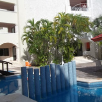 фото из отзыва ID 659086