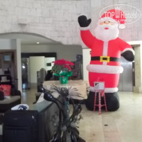 фото из отзыва ID 659086