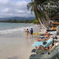 фото из отзыва ID 659304