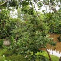 фото из отзыва ID 659832