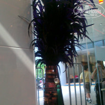 фото из отзыва ID 659493