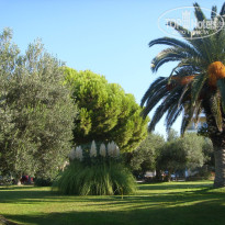 фото из отзыва ID 659563