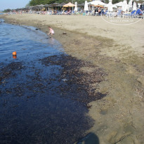 фото из отзыва ID 659563