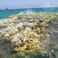 фото из отзыва ID 660054