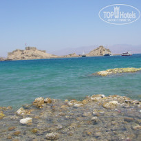 фото из отзыва ID 660054