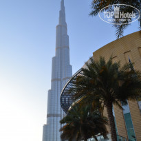 фото из отзыва ID 660103