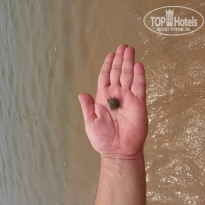 фото из отзыва ID 660174